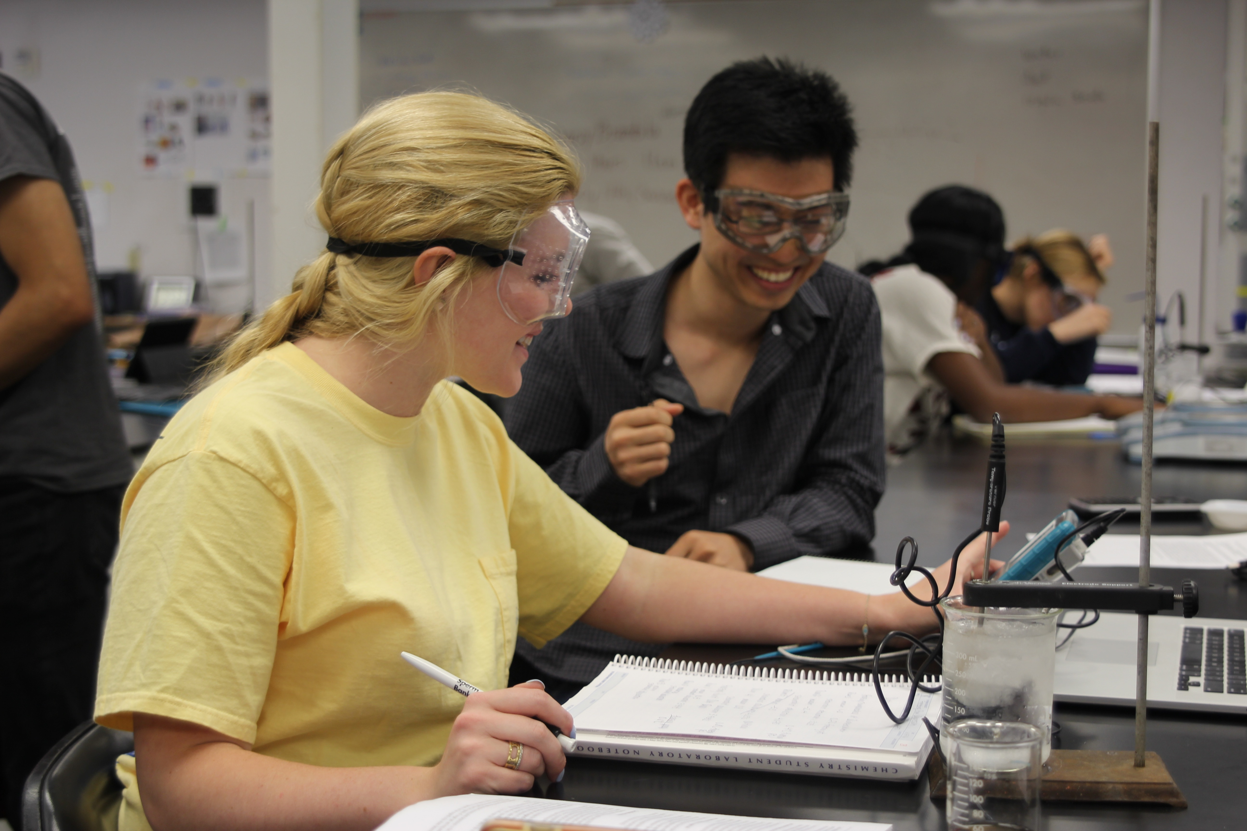 Post baccalaureate undergraduate picture