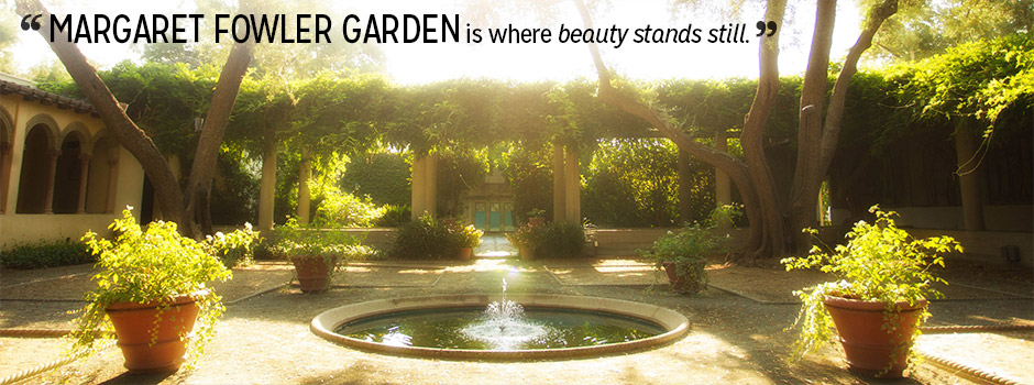 Margaret Fowler Garden is where beauty stands still.