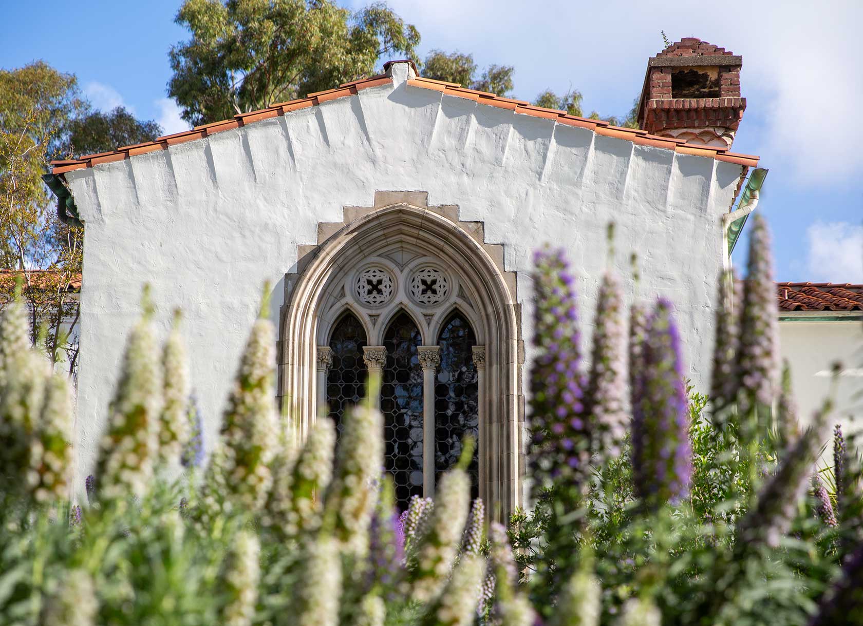 Image of Toll Hall with purple flower
