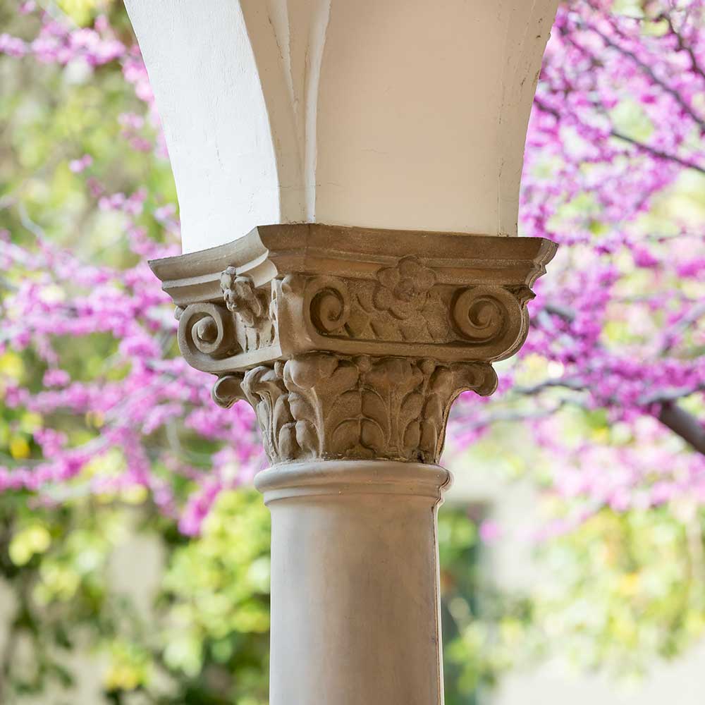 Column on the Scripps Campus with pink flower behind it.