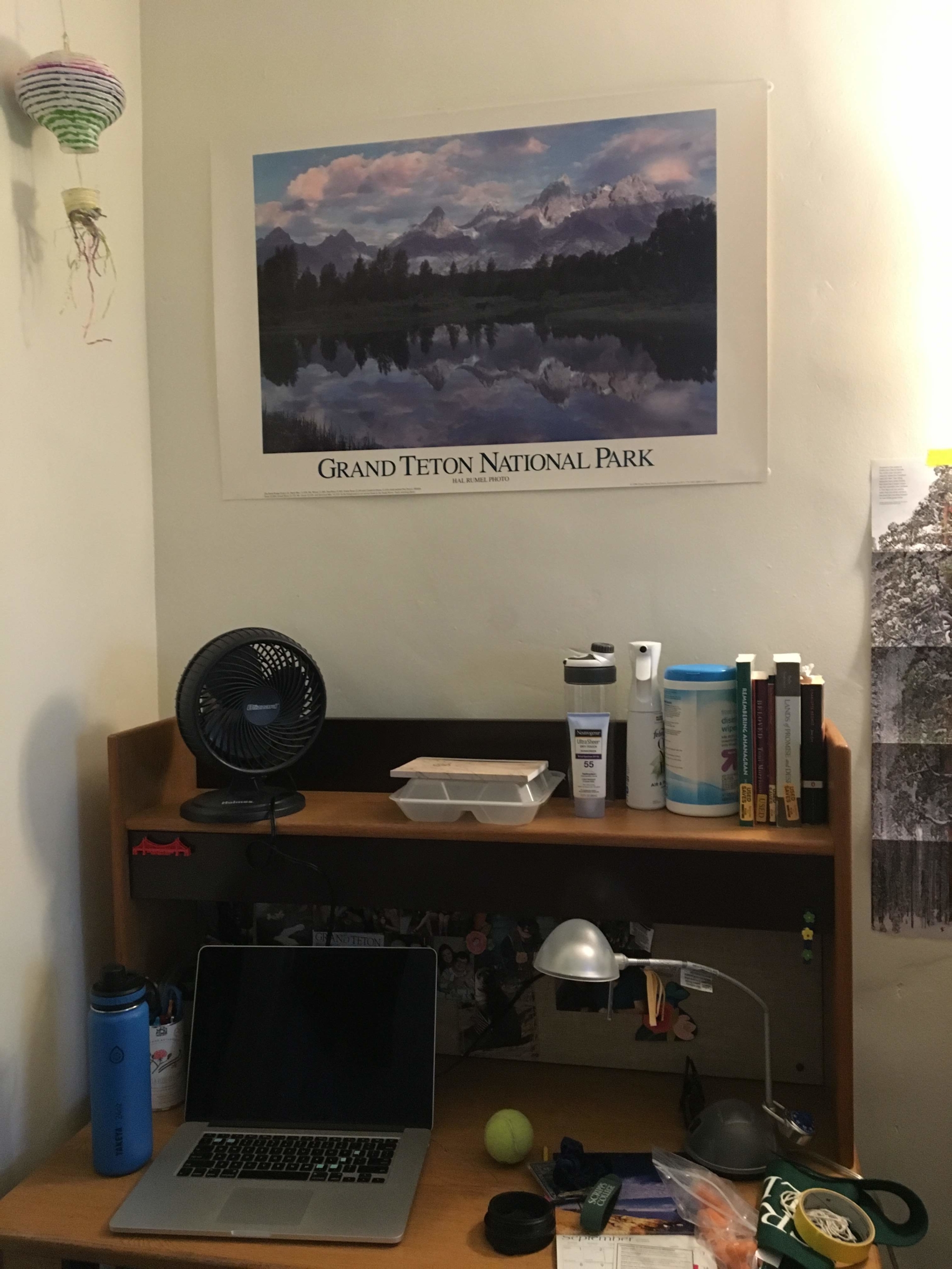 Image of Siena's desk with landscape poster above