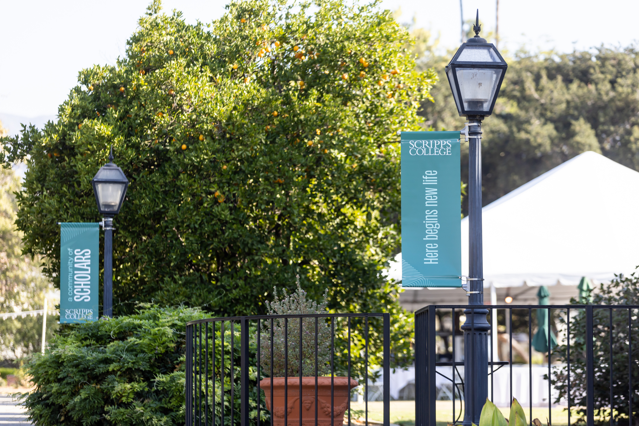 Lamp post with banner that reads here begins new life