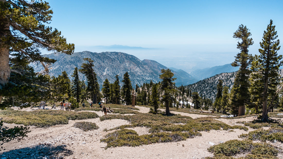 Mt. Baldy