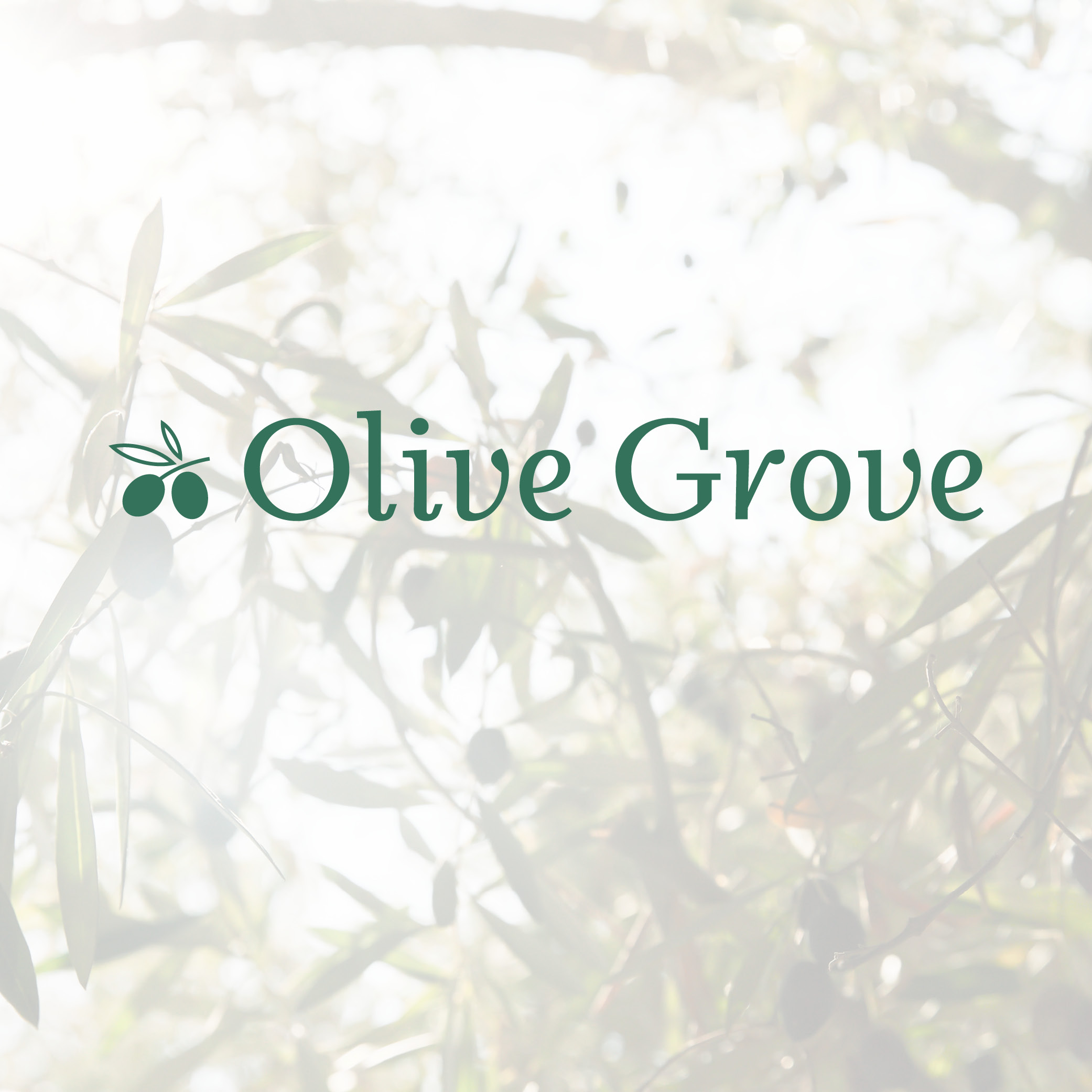 Olive Grove