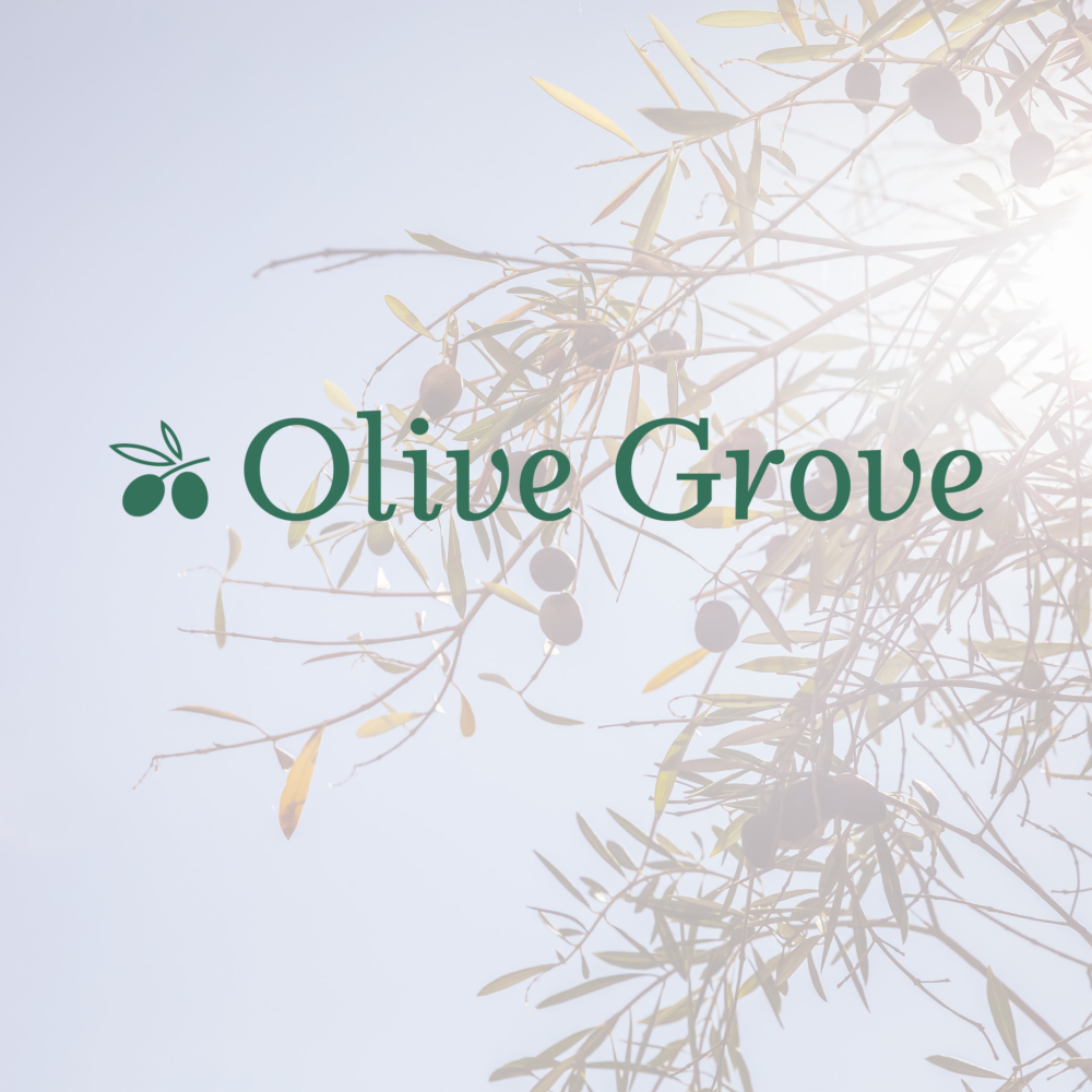 Olive Grove