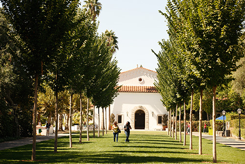 Elm Tree lawn at Scripps College