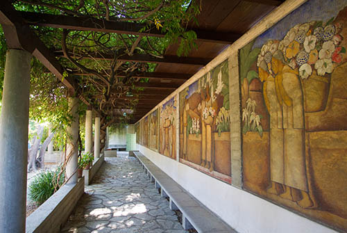 margaret fowler garden at Scripps College