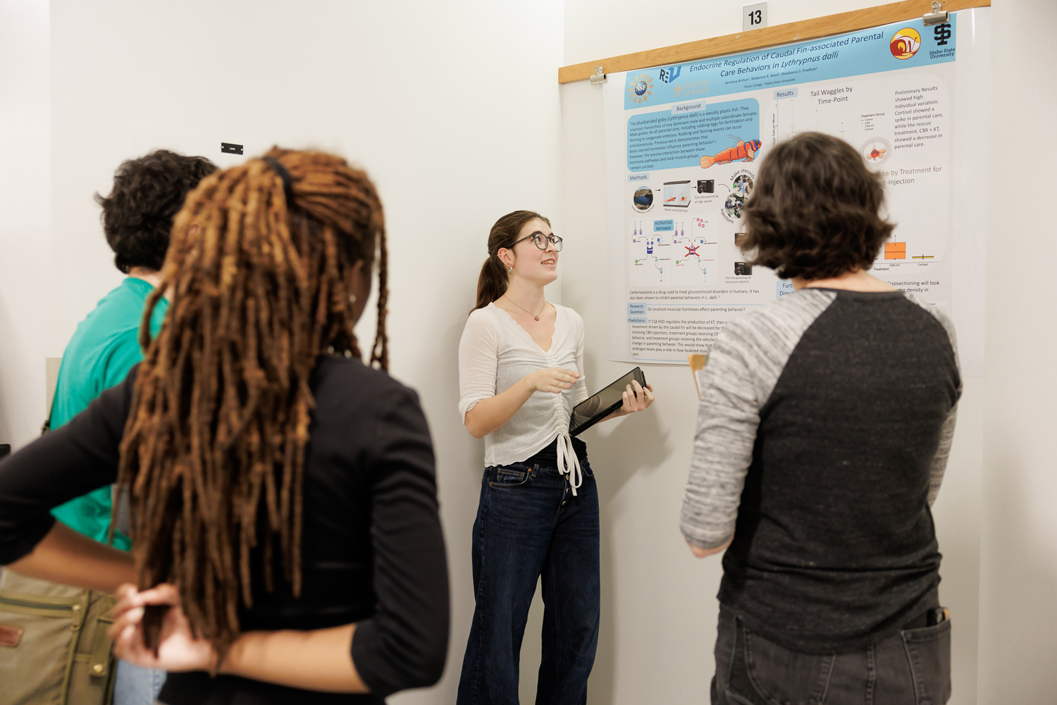Students poster presentation at the department of natural sciences