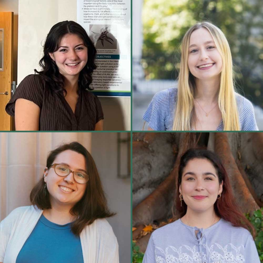 headshots of four women