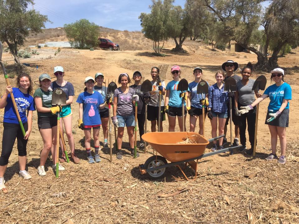 Community Engagement