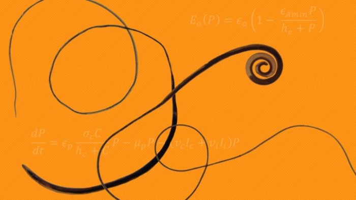 A design with mathematical equations and black swirls against an orange colored background.