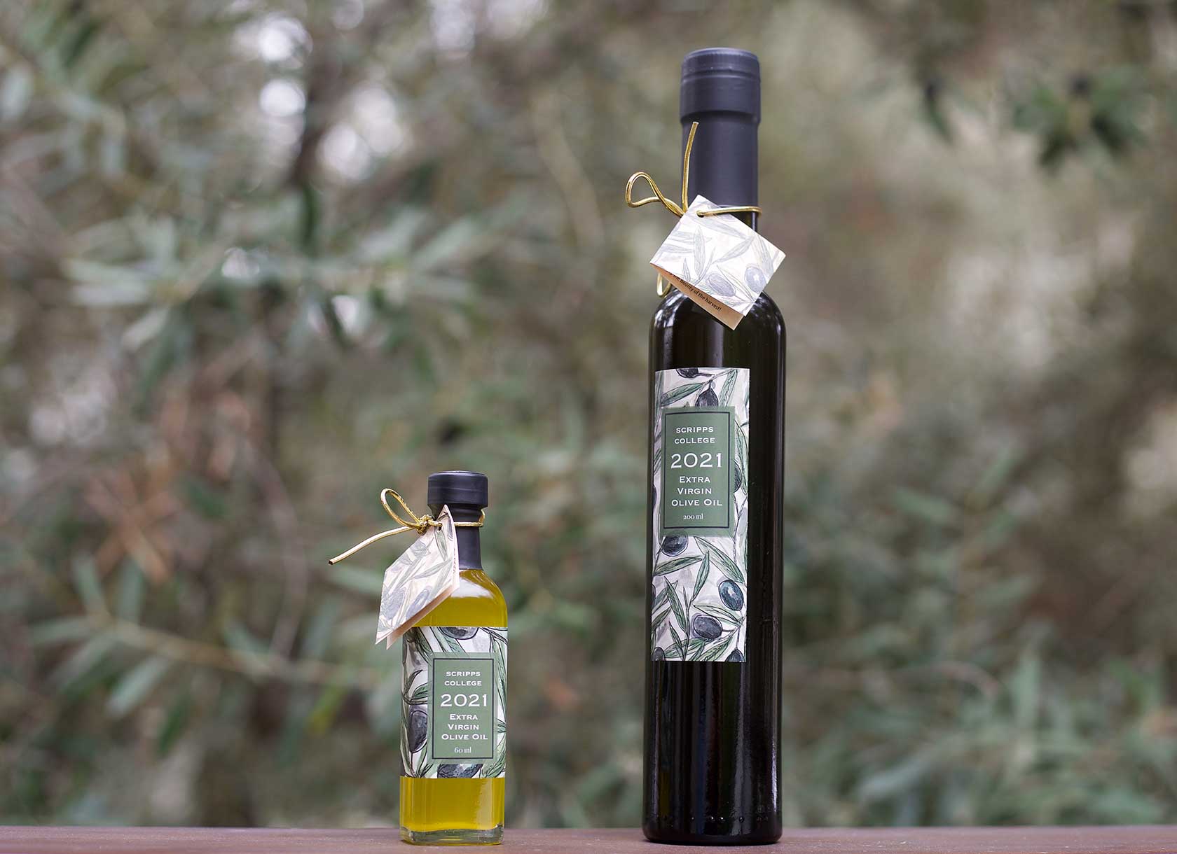 Bottles of olive oil from Scripps College's November 2021 Olive Harvest