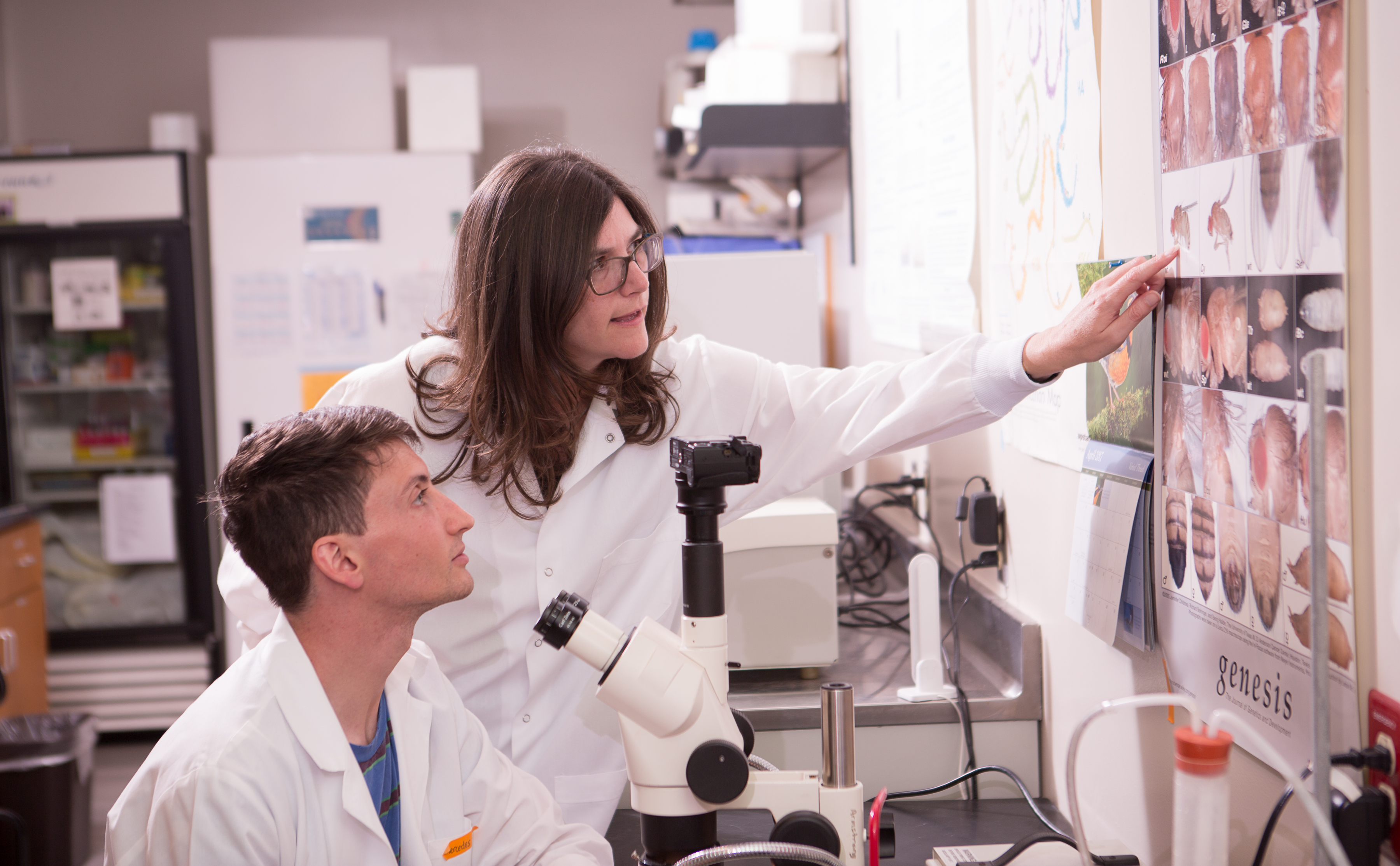 Professor working with postbac student to hone understanding of basic science coursework and laboratory techniques