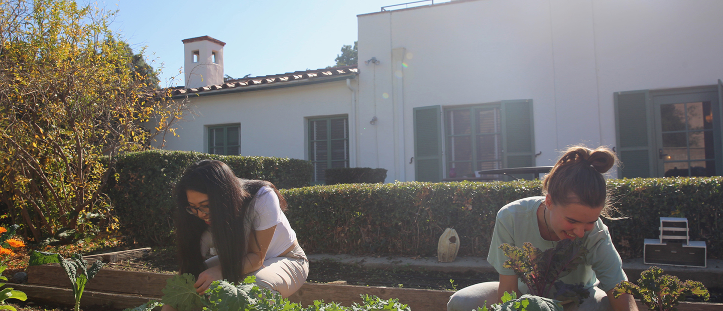 Students working in Garden