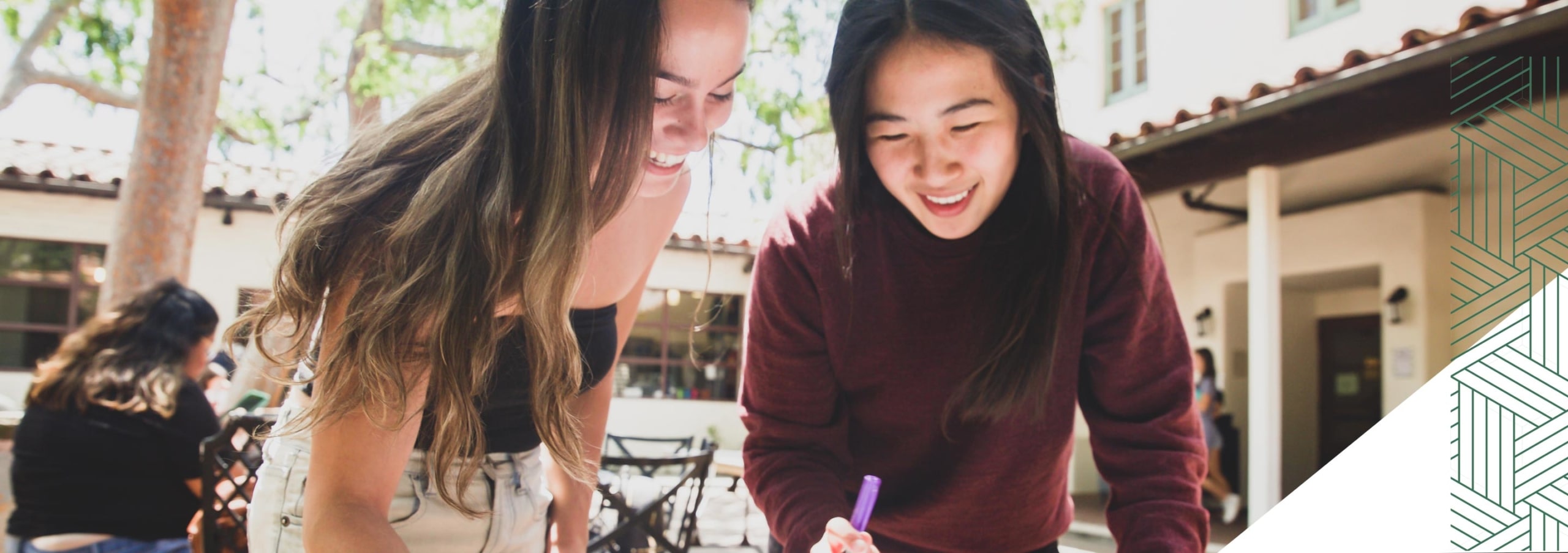 students studying outside